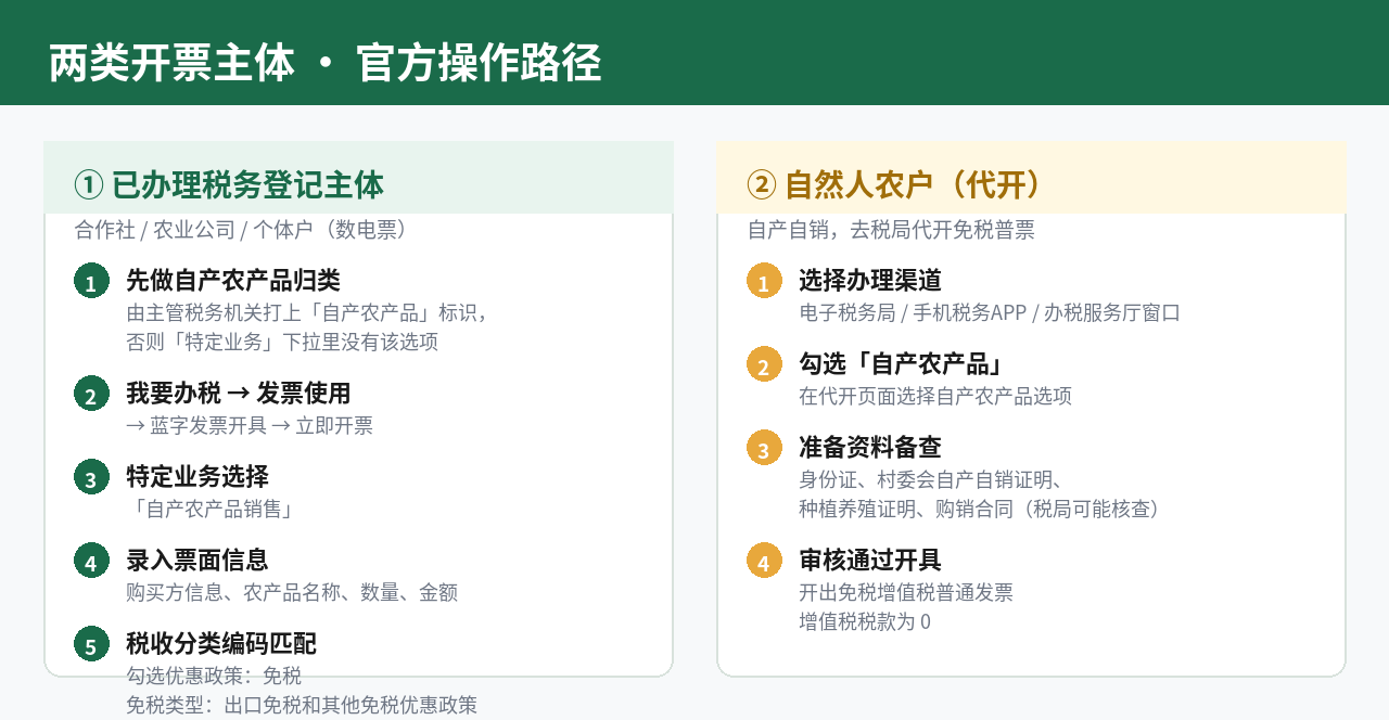 两类开票主体操作路径对比